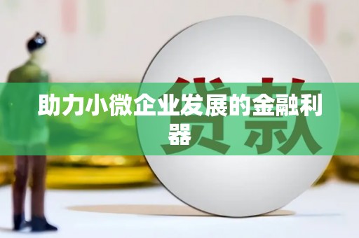 新洲助力小微企业发展的金融利器