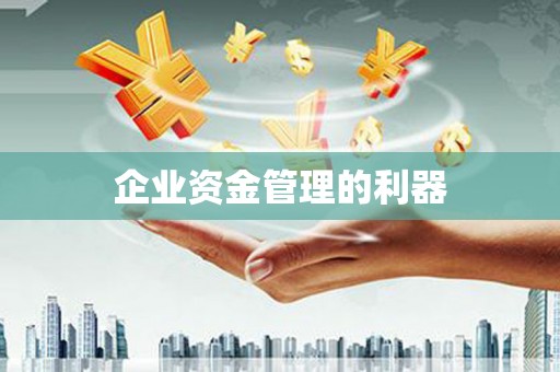 新洲企业资金管理的利器