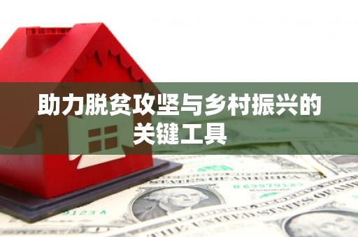 新洲助力脱贫攻坚与乡村振兴的关键工具