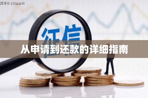 新洲从申请到还款的详细指南