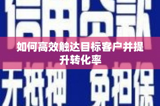 新洲如何高效触达目标客户并提升转化率