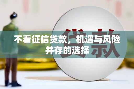 新洲不看征信贷款，机遇与风险并存的选择