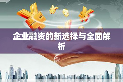 新洲企业融资的新选择与全面解析