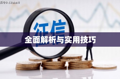 新洲全面解析与实用技巧