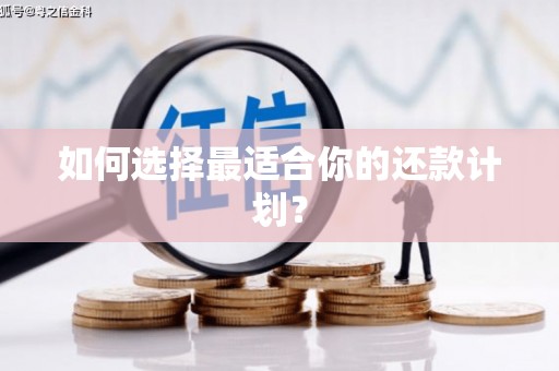 新洲如何选择最适合你的还款计划？