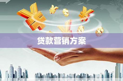 新洲贷款营销方案