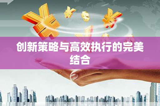 新洲创新策略与高效执行的完美结合