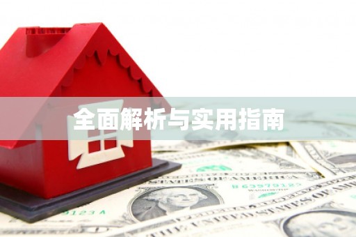 新洲全面解析与实用指南