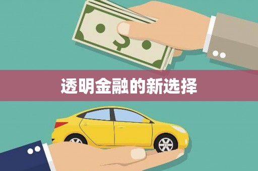 新洲透明金融的新选择