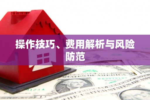 新洲操作技巧、费用解析与风险防范