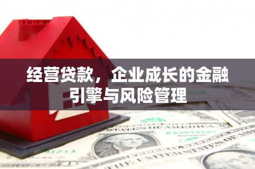 新洲经营贷款，企业成长的金融引擎与风险管理
