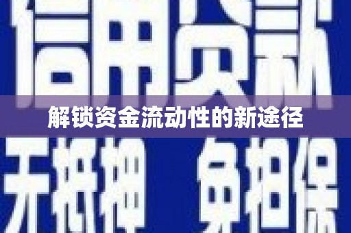 新洲解锁资金流动性的新途径