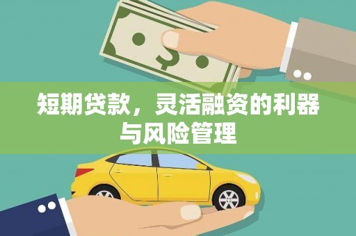 新洲短期贷款，灵活融资的利器与风险管理