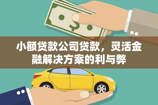 新洲小额贷款公司贷款，灵活金融解决方案的利与弊