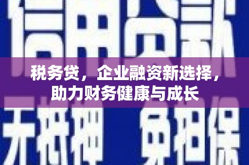新洲税务贷，企业融资新选择，助力财务健康与成长