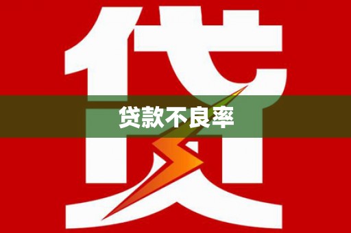 新洲贷款不良率