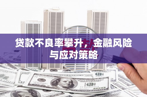 新洲贷款不良率攀升，金融风险与应对策略