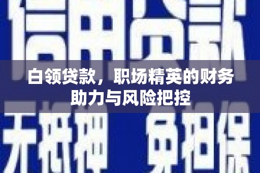 新洲白领贷款，职场精英的财务助力与风险把控