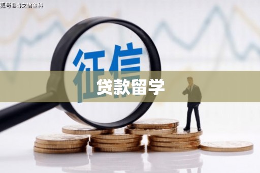 新洲贷款留学
