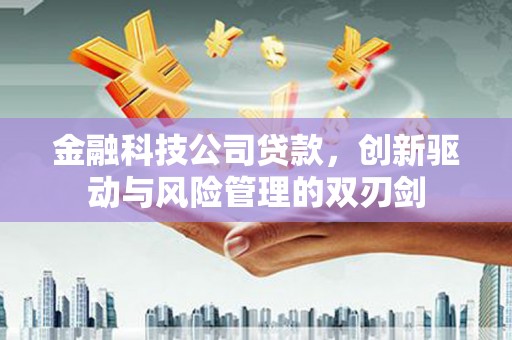 新洲金融科技公司贷款，创新驱动与风险管理的双刃剑
