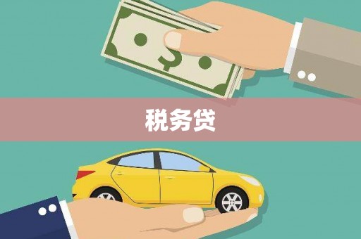 新洲税务贷