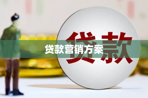 新洲贷款营销方案
