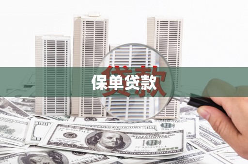 新洲保单贷款